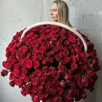 Корзина из 301 красной кенийской розы