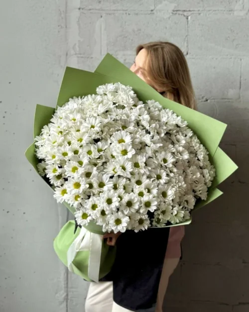 WOW! - букет из 35 белых хризантем-ромашек